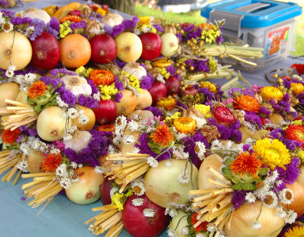 2011-10-07 zwiebelmarkt